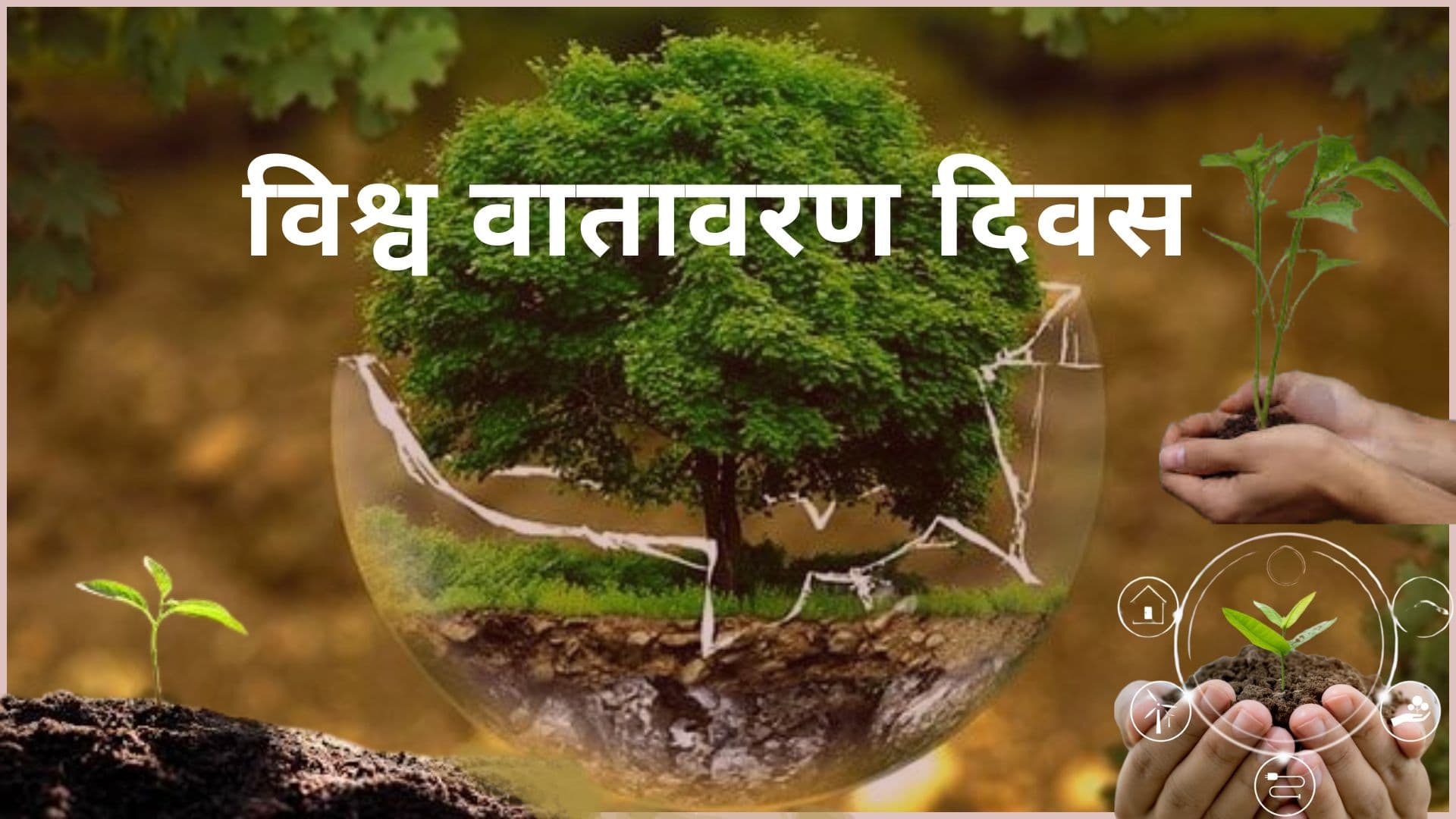 वातावरण दिवस विशेष: ४० करोड टन वार्षिक प्लास्टिक फोहोर, न्यूनीकरणमा चुनौती